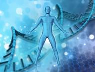 Autophagy is the recycling process equivalent of the body (Image by Kjpargeter on Freepik)